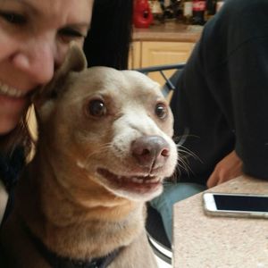 Meet your Posher, Becki